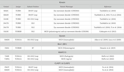 MAPping tubulin mutations